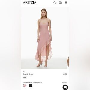 Aritzia Ten Ravish Dress